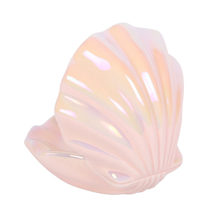 Iridescent Clam Shell Coastal Trinket Dish Serenity healing gifts
